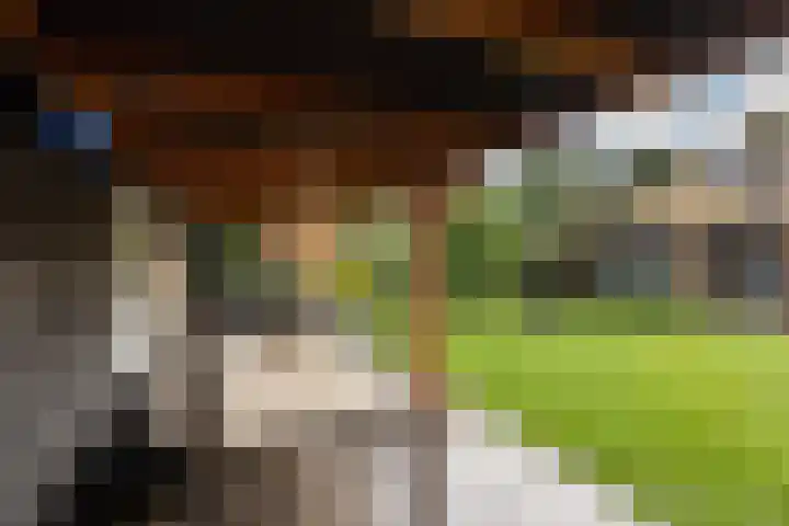 Schoolstraat 8 Neede thumbnail 42
