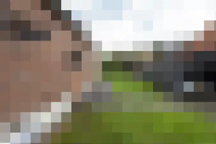 Schoolstraat 8 Neede thumbnail 46