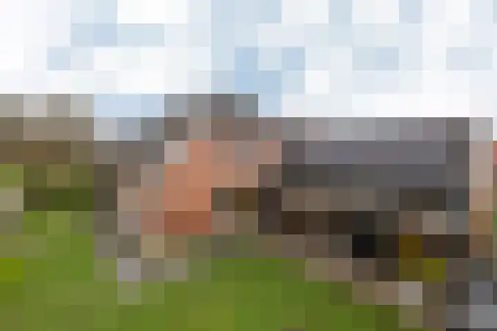 Schoolstraat 8 Neede thumbnail 48