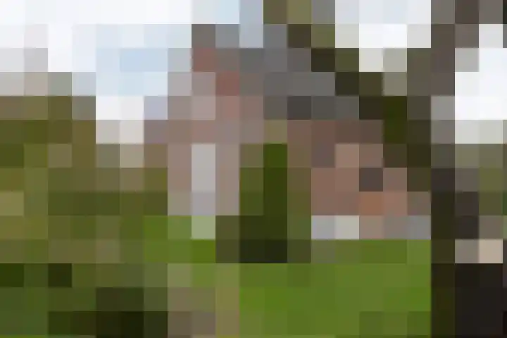 Schoolstraat 8 Neede thumbnail 49