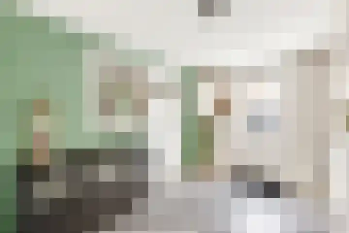 Schoolstraat 8 Nijkerkerveen thumbnail 19