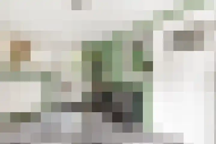 Schoolstraat 8 Nijkerkerveen thumbnail 20