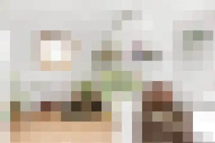 Schoolstraat 8 Nijkerkerveen thumbnail 35