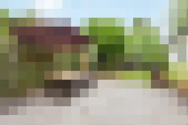 Schoolstraat 8 Nijkerkerveen thumbnail 39