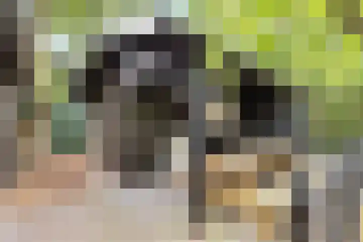 Schoolstraat 8 Nijkerkerveen thumbnail 41
