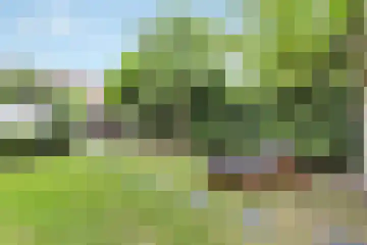 Schoolstraat 8 Nijkerkerveen thumbnail 43