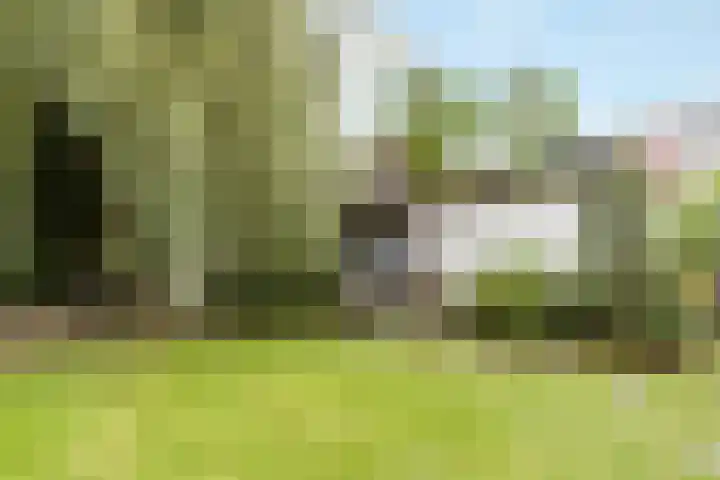 Schoolstraat 8 Nijkerkerveen thumbnail 44