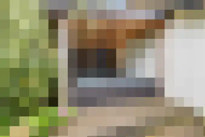 Schoolstraat 8 Nijkerkerveen thumbnail 46