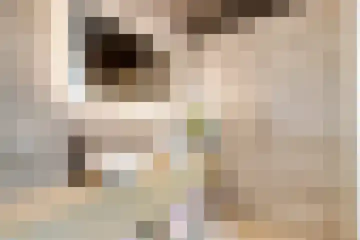 Schoolstraat 8 Nijkerkerveen thumbnail 8