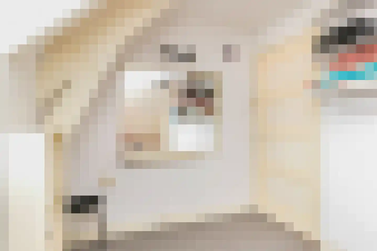 Schoolstraat 8 Oosterend thumbnail 24