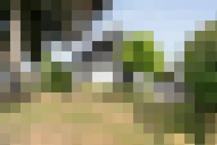 Schoolstraat 8 Schoonloo thumbnail 27