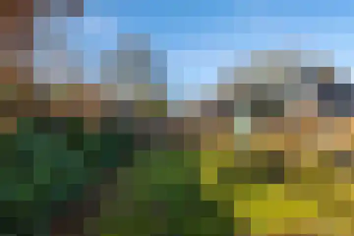 Schoolstraat 8 Schoonloo thumbnail 29
