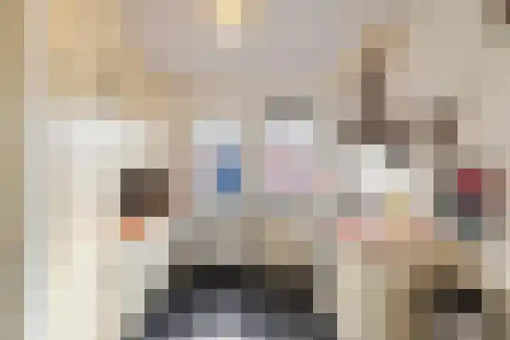 Schoolstraat 8 Schoonloo thumbnail 7