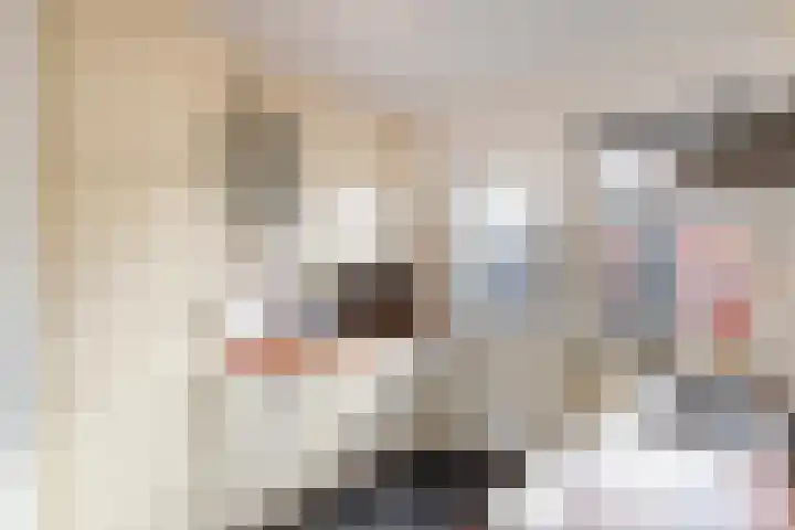 Schoolstraat 8 Schoonloo thumbnail 8