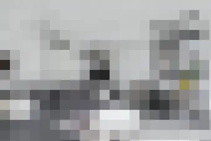 Schoolstraat 8 Strijen thumbnail 9