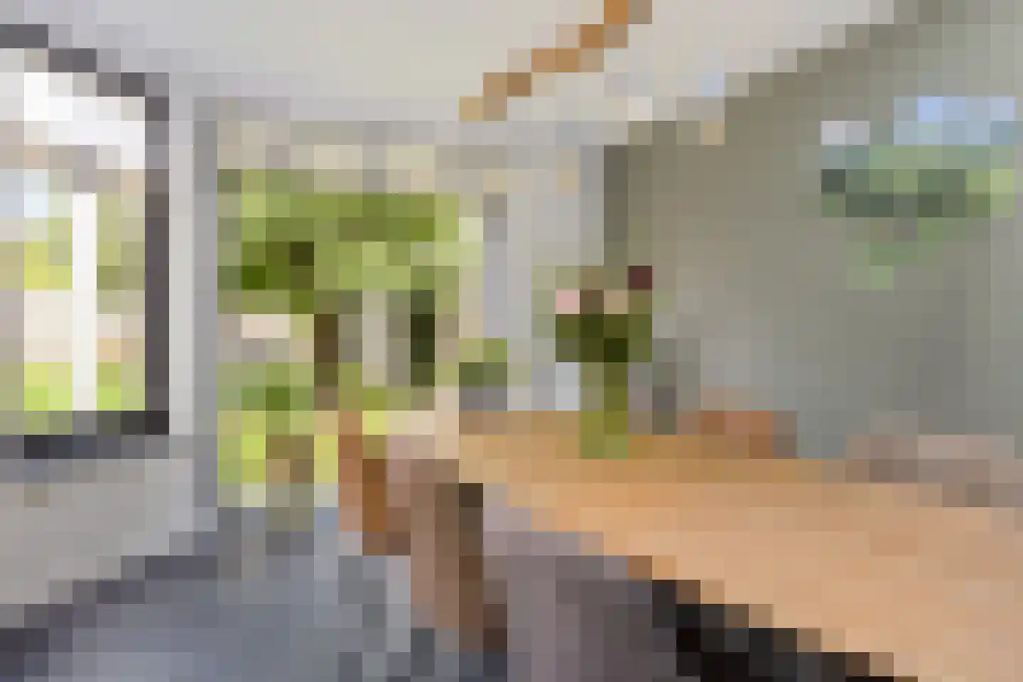 Schoolstraat 8 Wanroij thumbnail 10