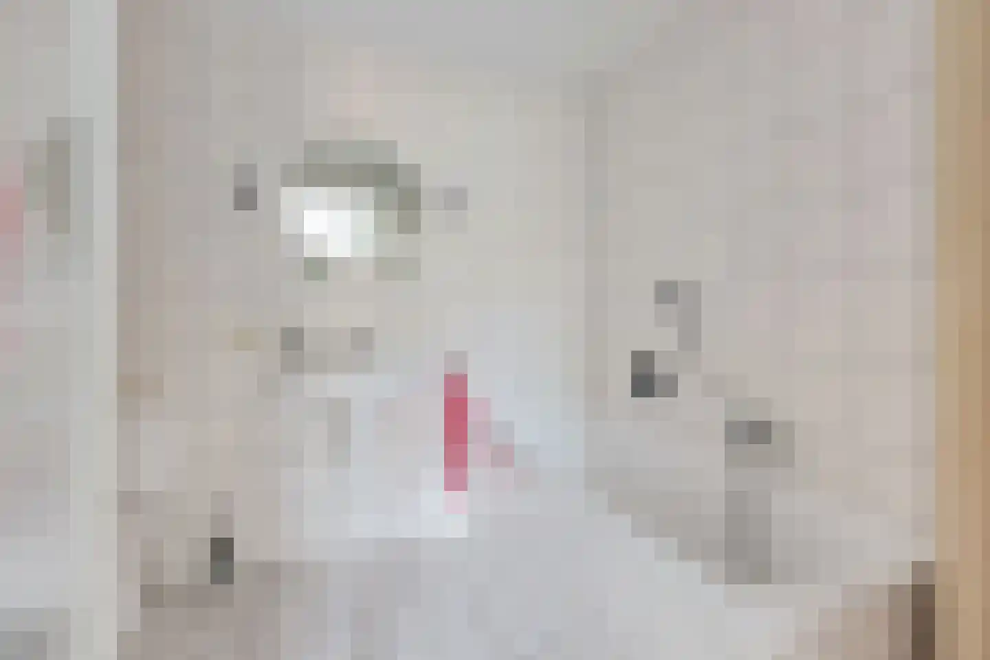 Schoolstraat 8 Wanroij thumbnail 25