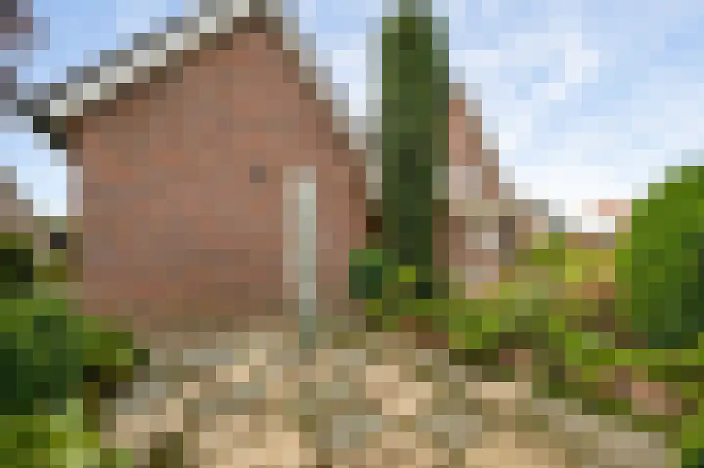 Schoolstraat 82 Horst thumbnail 41