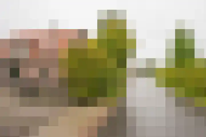 Schoolstraat 85 Nijkerkerveen thumbnail 30