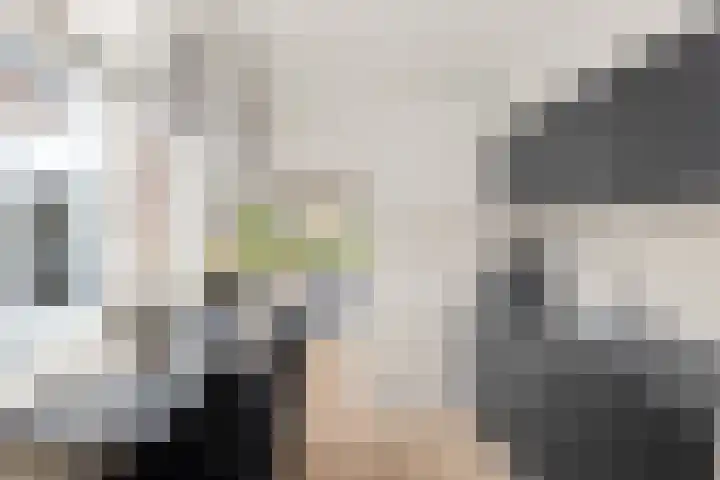 Schoolstraat 86 Krimpen aan de Lek thumbnail 13