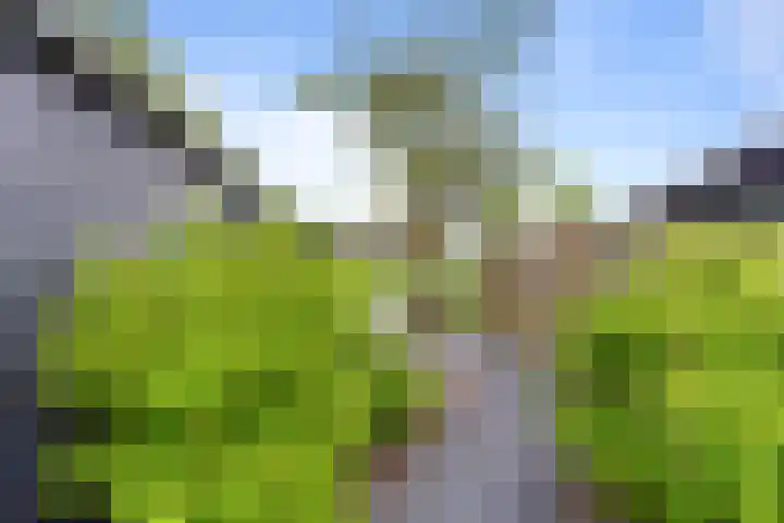 Schoolstraat 86 Krimpen aan de Lek thumbnail 18