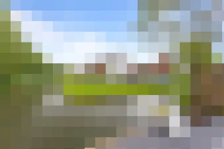 Schoolstraat 86 Krimpen aan de Lek thumbnail 19