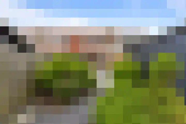 Schoolstraat 86 Krimpen aan de Lek thumbnail 20
