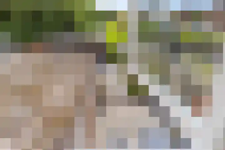 Schoolstraat 86 Krimpen aan de Lek thumbnail 26