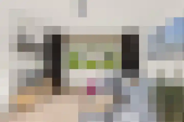 Schoolstraat 86 Krimpen aan de Lek thumbnail 4
