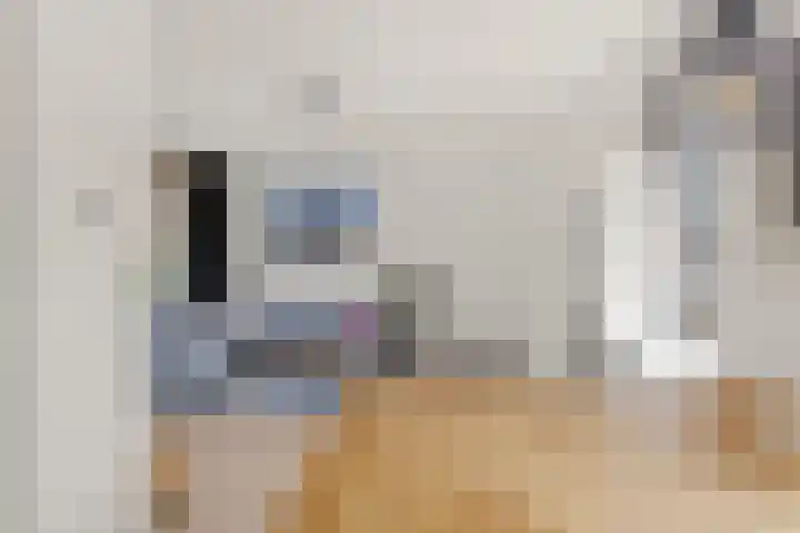 Schoolstraat 86 Krimpen aan de Lek thumbnail 9