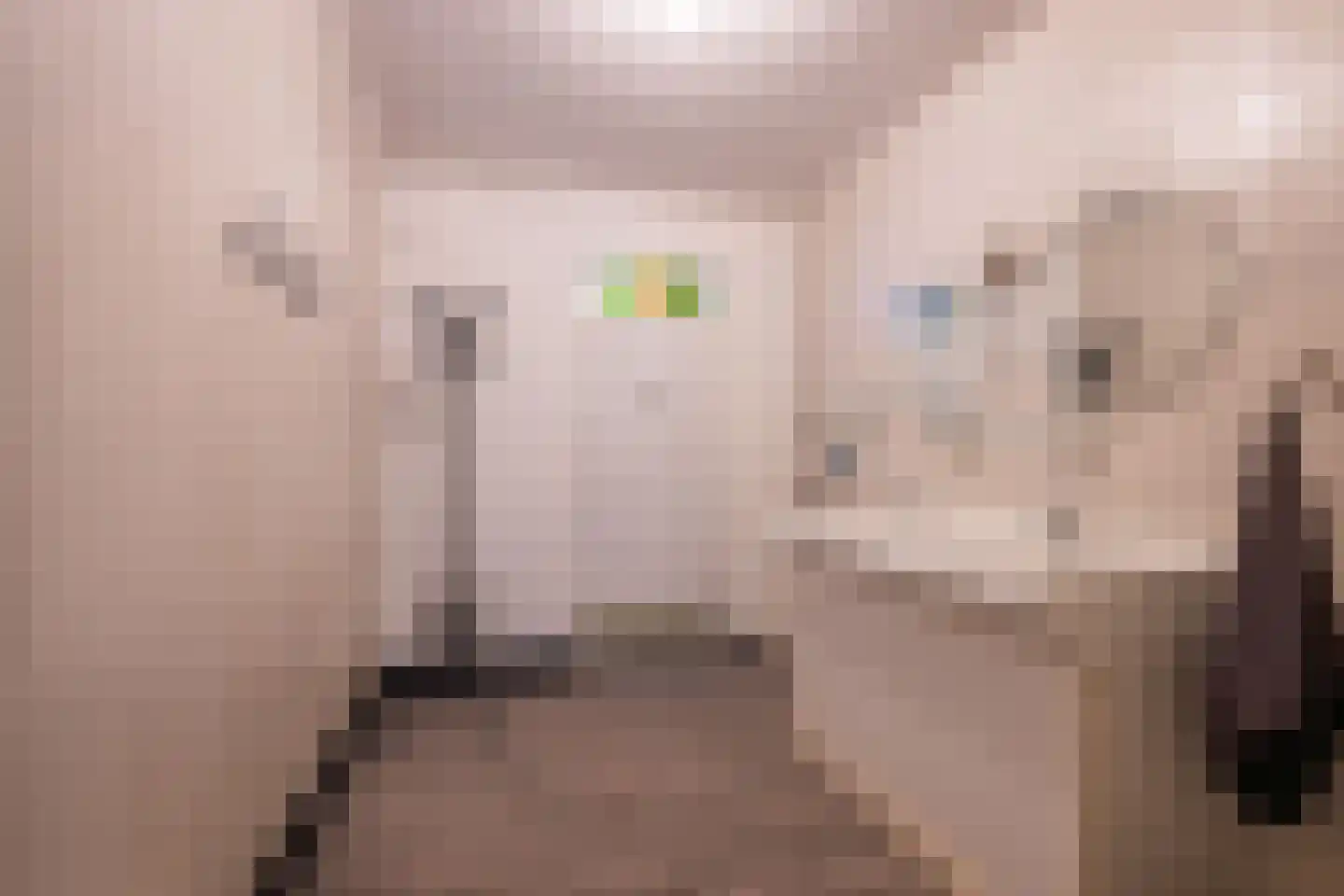 Schoolstraat 9 Horst thumbnail 14