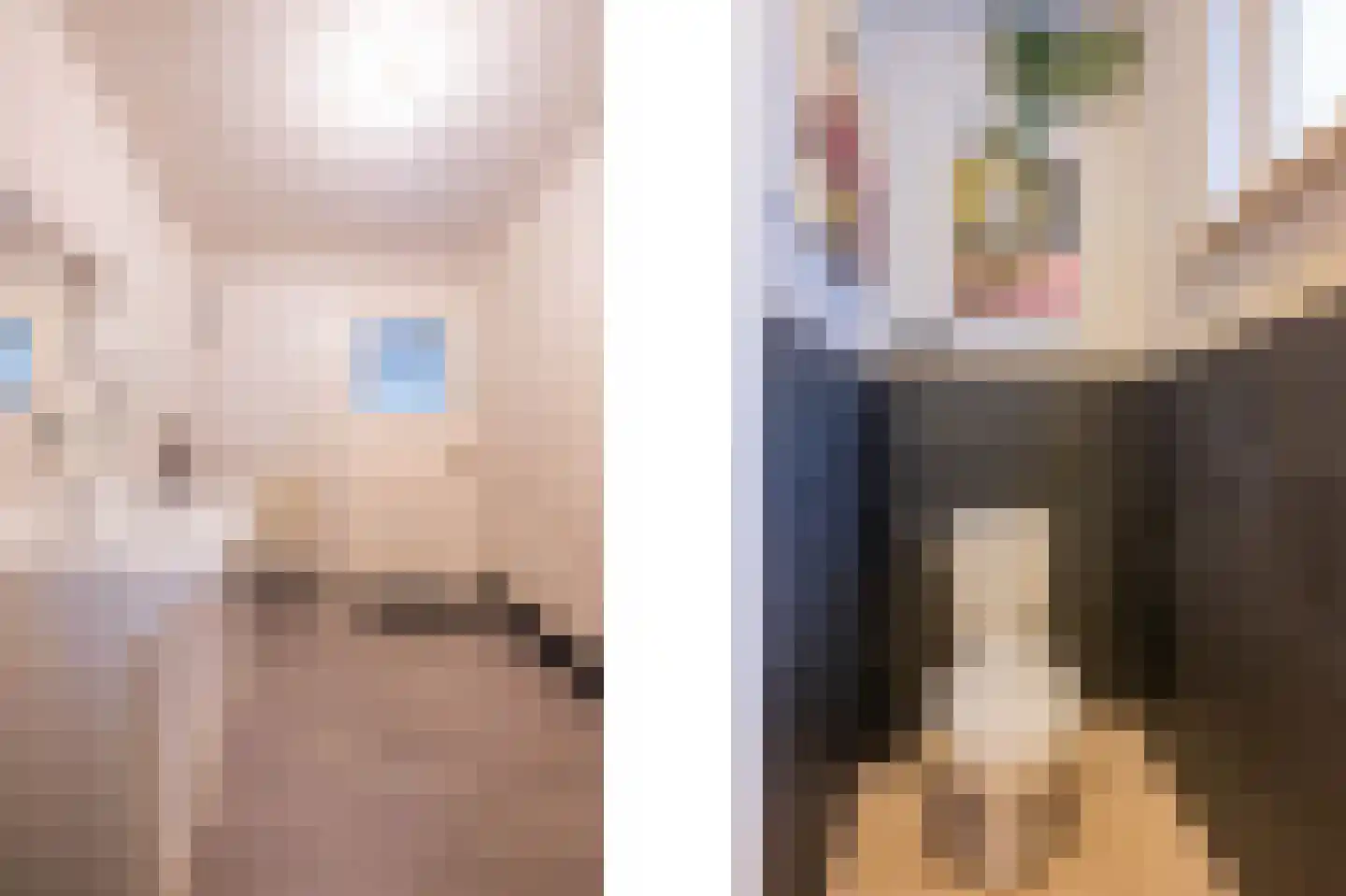 Schoolstraat 9 Horst thumbnail 15