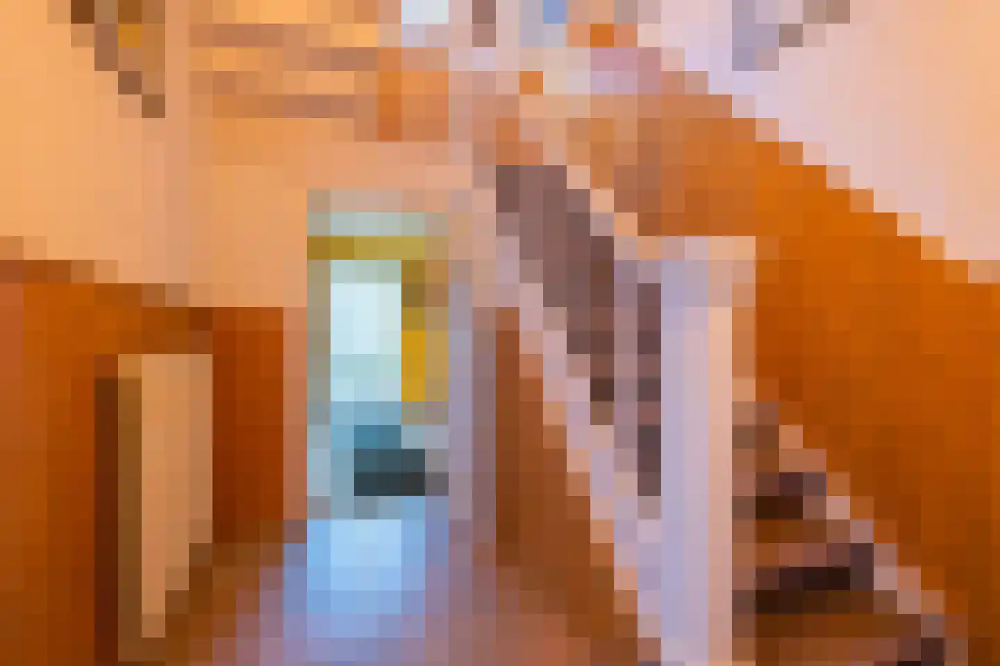 Schoolstraat 9 Horst thumbnail 17