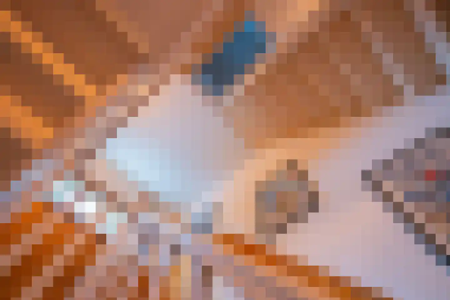 Schoolstraat 9 Horst thumbnail 18