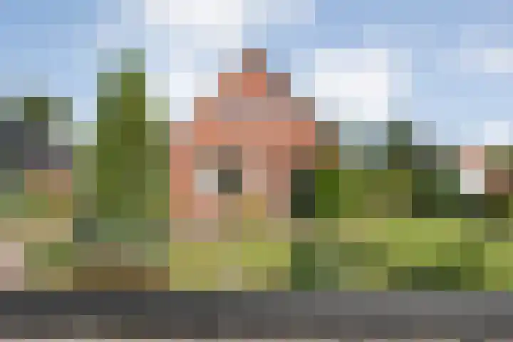 Schoolstraat 9 Kloosterhaar thumbnail 14