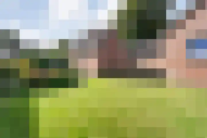 Schoolstraat 9 Kloosterhaar thumbnail 18