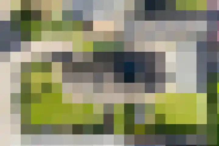 Schoolstraat 9 Kloosterhaar thumbnail 21
