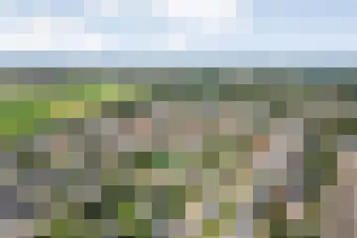 Schoolstraat 9 Kloosterhaar thumbnail 22
