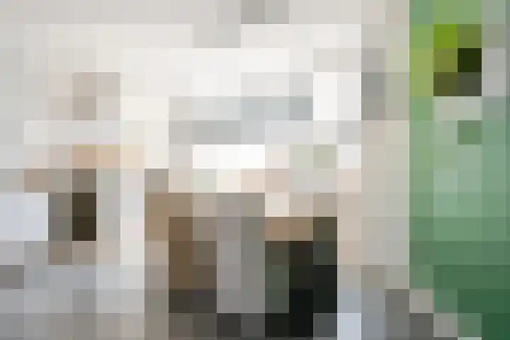 Schoolstraat 9 Oosthuizen thumbnail 16
