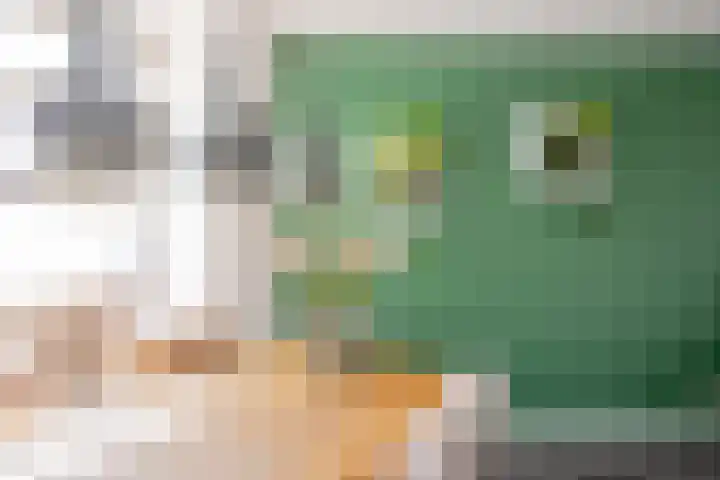 Schoolstraat 9 Oosthuizen thumbnail 17