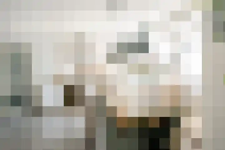 Schoolstraat 9 Oosthuizen thumbnail 18