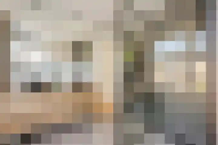 Schoolstraat 9 Oosthuizen thumbnail 5
