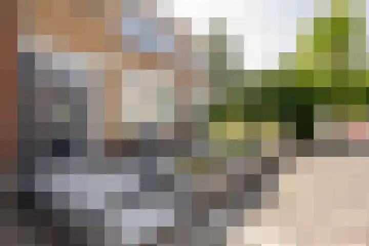 Schoolstraat 9 Oosthuizen thumbnail 6