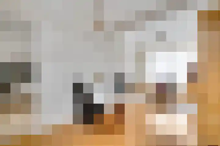 Schoolstraat 9 Swalmen thumbnail 5