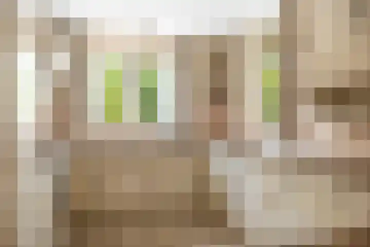 Schoolstraat 9 Twello thumbnail 17