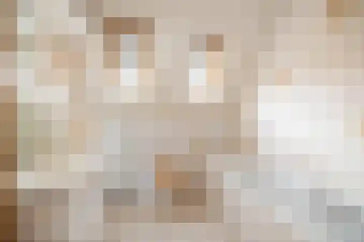 Schoolstraat 9 Twello thumbnail 33