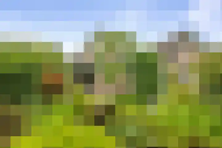 Schoolstraat 9 Twello thumbnail 34