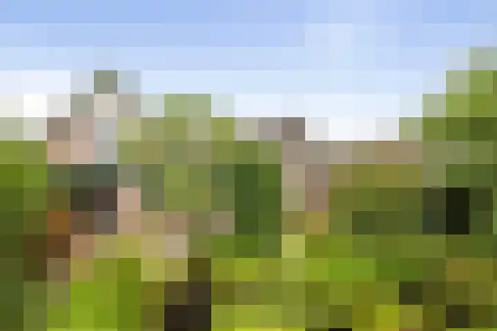 Schoolstraat 9 Twello thumbnail 35