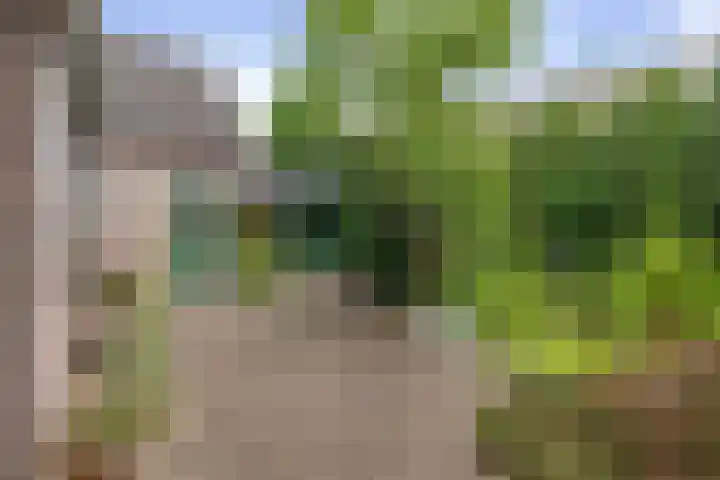 Schoolstraat 9 Twello thumbnail 36