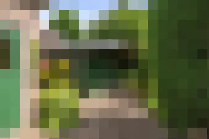Schoolstraat 9 Twello thumbnail 37